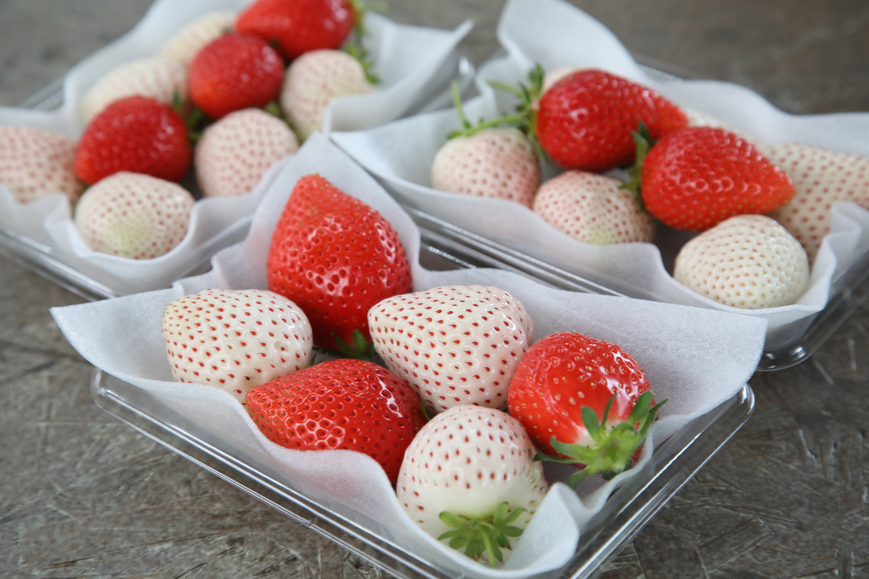 くぼいちご農園 | 愛知県愛西市のストロベリーファーム